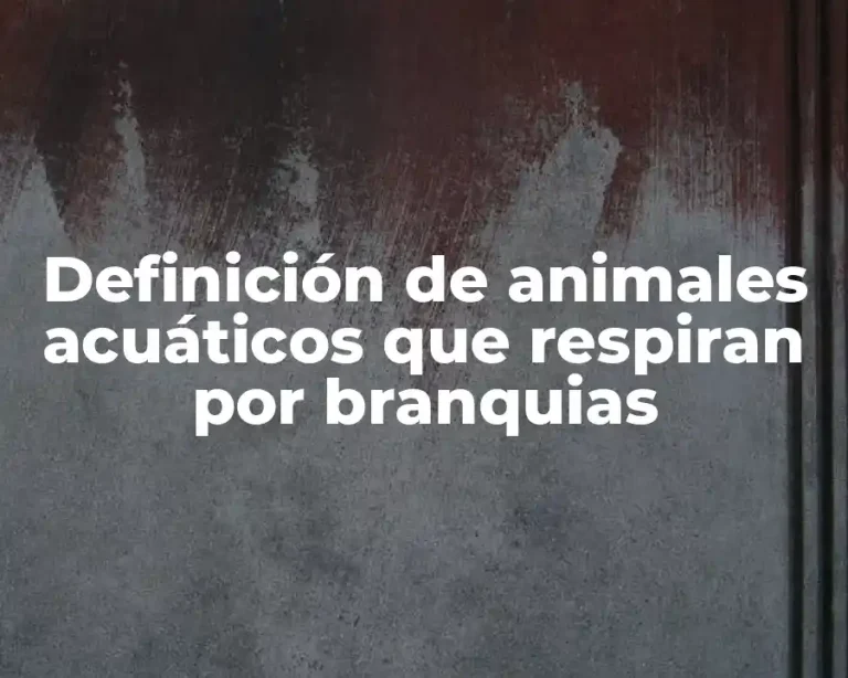 Definición de animales acuáticos que respiran por branquias