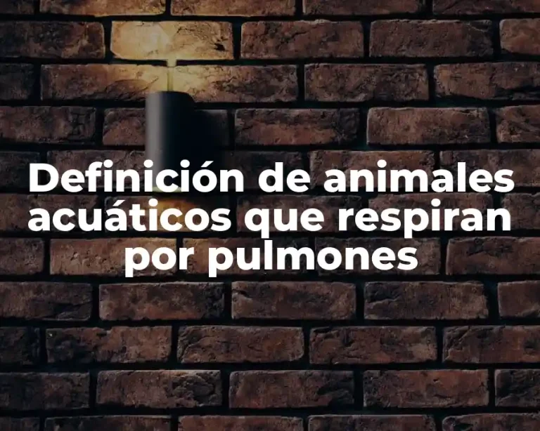 Definición de animales acuáticos que respiran por pulmones