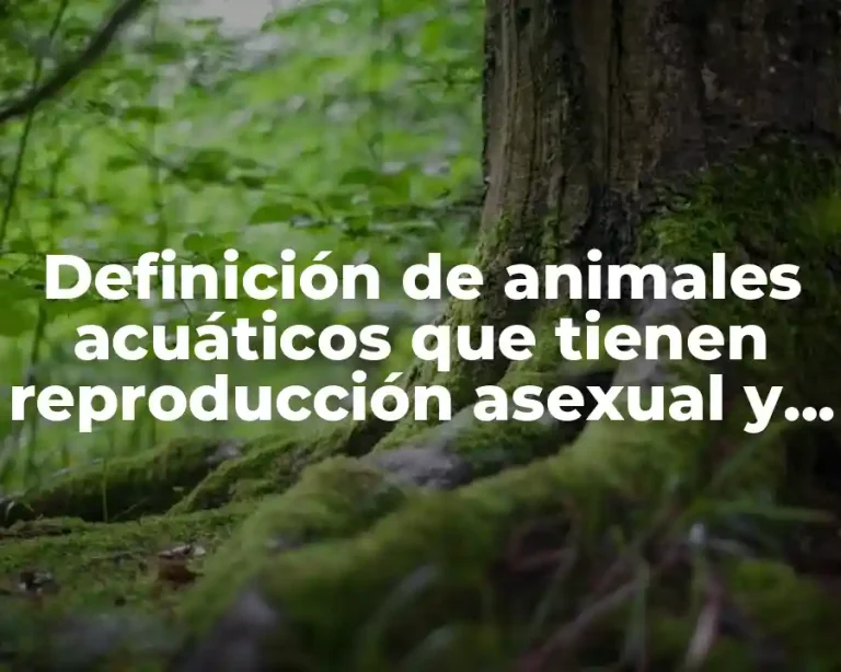 Definición de animales acuáticos que tienen reproducción asexual y sexual