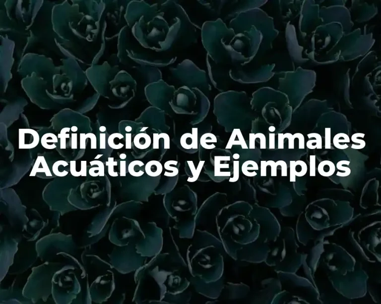 Definición de Animales Acuáticos y Ejemplos