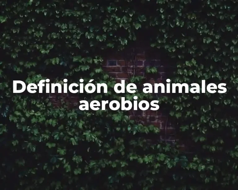 Definición de animales aerobios