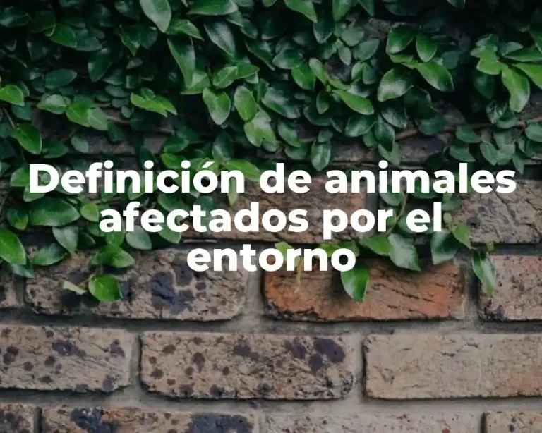Definición de animales afectados por el entorno