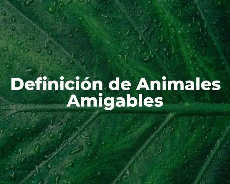 Definición de Animales Amigables