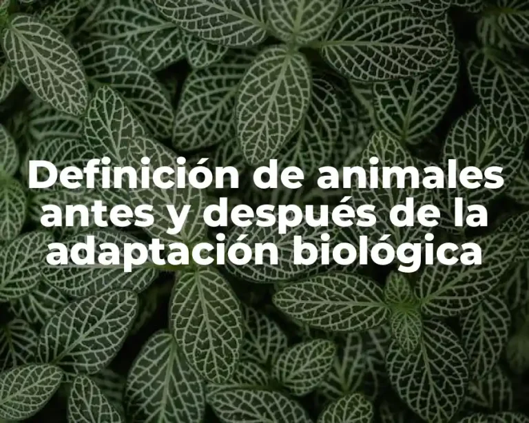 Definición de animales antes y después de la adaptación biológica