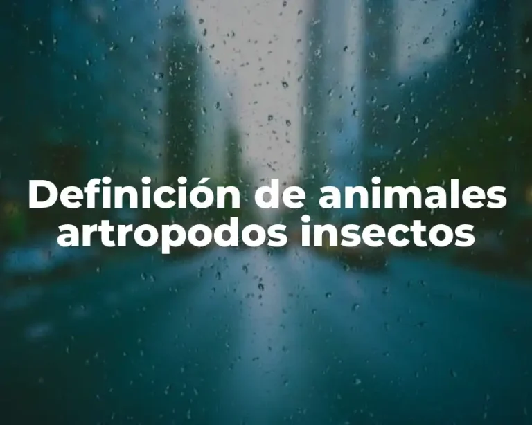 Definición de animales artropodos insectos