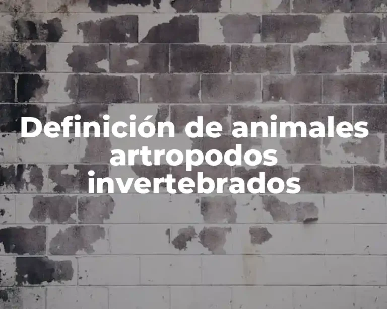 Definición de animales artropodos invertebrados