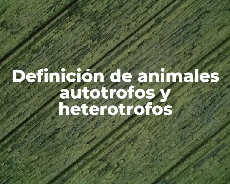Definición de animales autotrofos y heterotrofos