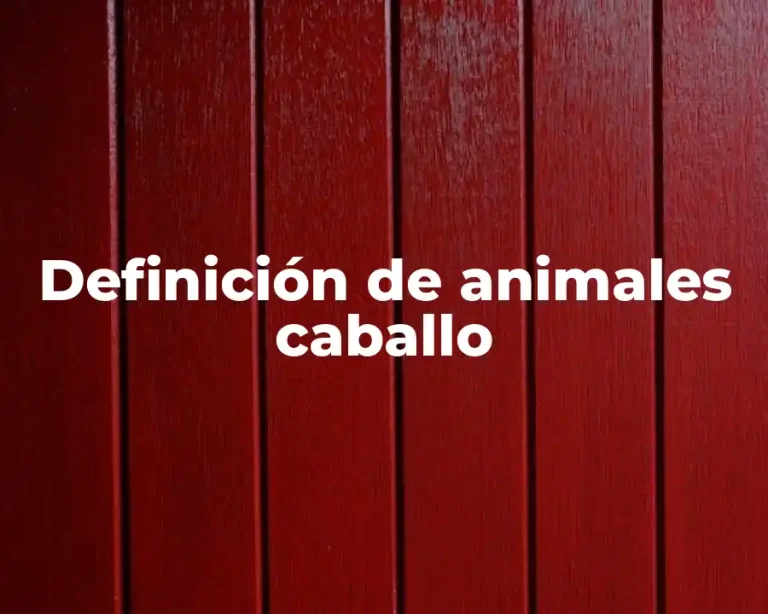 Definición de animales caballo