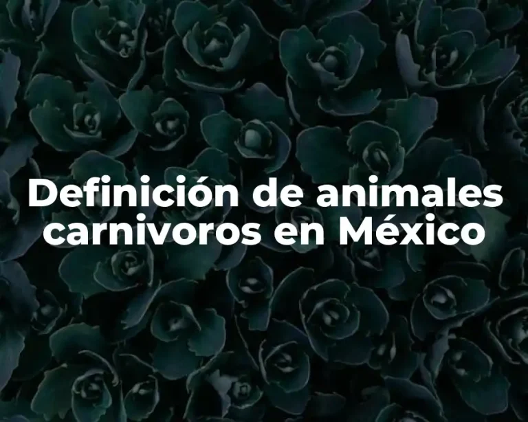 Definición de animales carnivoros en México