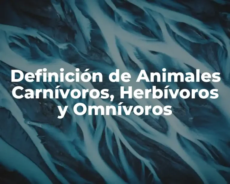 Definición de Animales Carnívoros, Herbívoros y Omnívoros