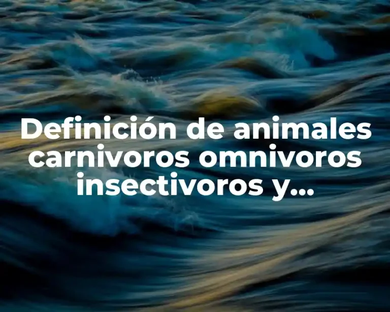 Definición de animales carnivoros omnivoros insectivoros y herbivoros