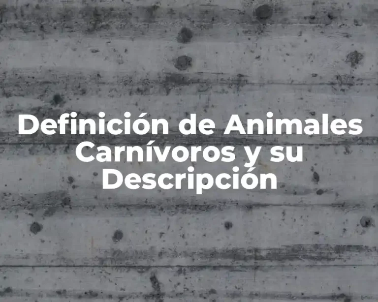 Definición de Animales Carnívoros y su Descripción