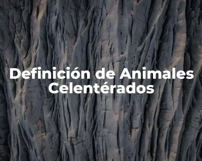 Definición de Animales Celentérados