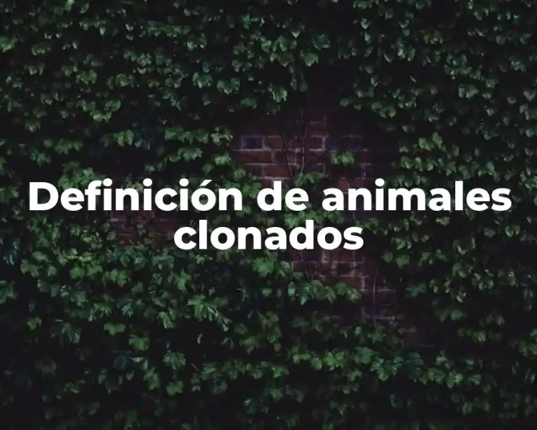 Definición de animales clonados