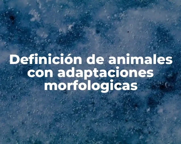 Definición de animales con adaptaciones morfologicas