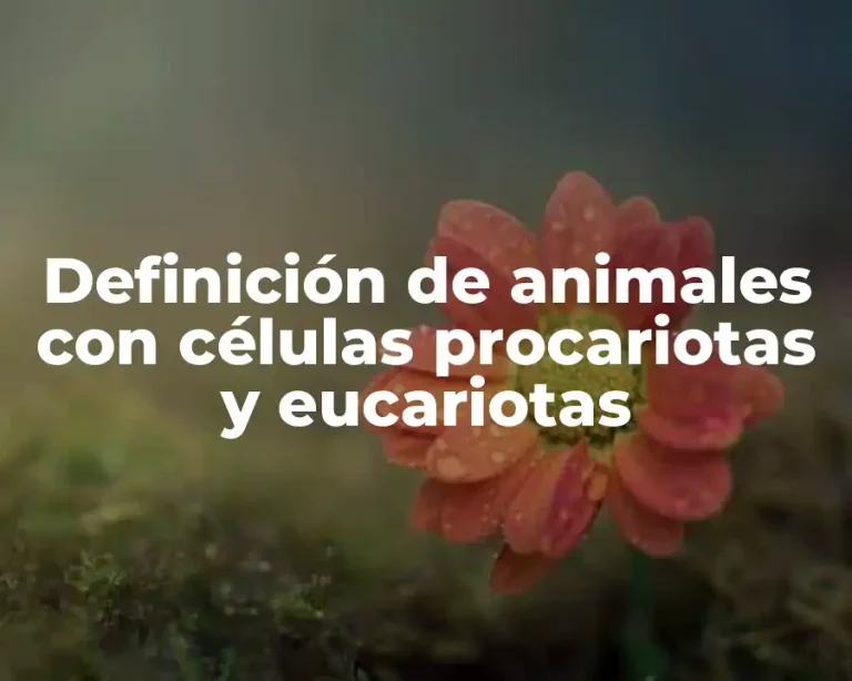 Definición de animales con células procariotas y eucariotas