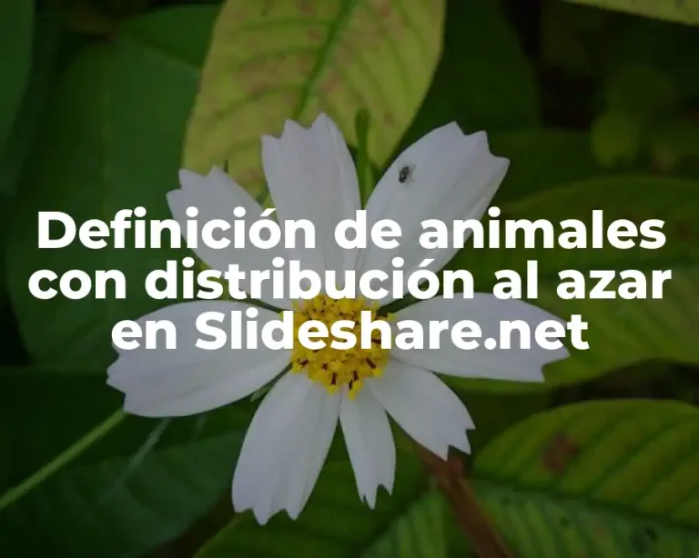 Definición de animales con distribución al azar en Slideshare.net