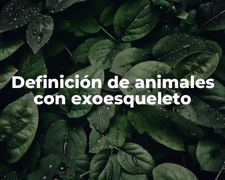 Definición de animales con exoesqueleto