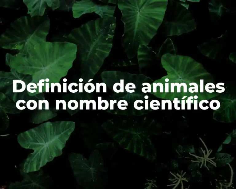 Definición de animales con nombre científico