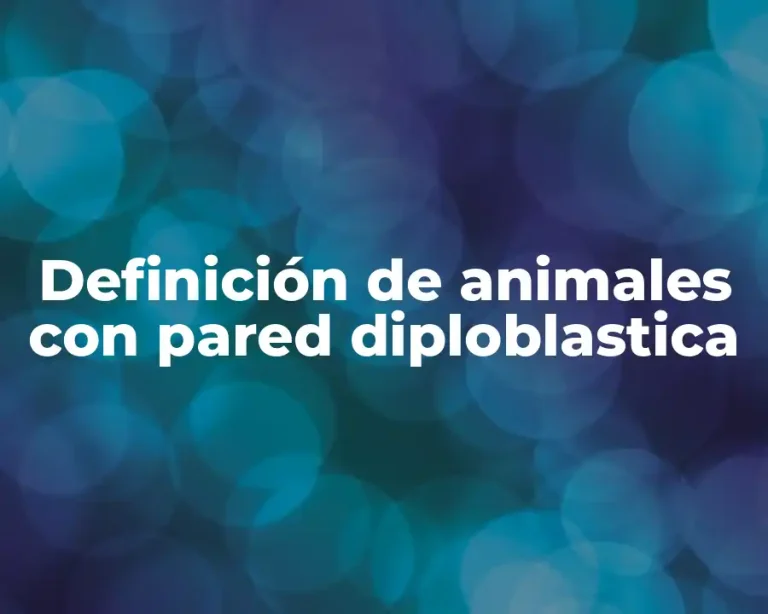 Definición de animales con pared diploblastica