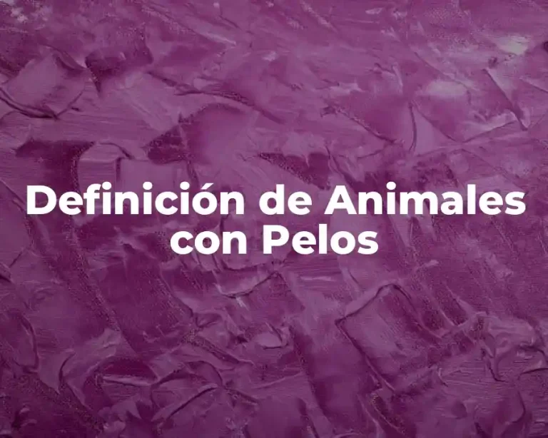 Definición de Animales con Pelos