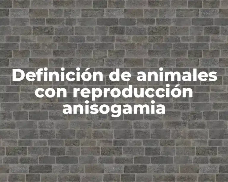 Definición de animales con reproducción anisogamia