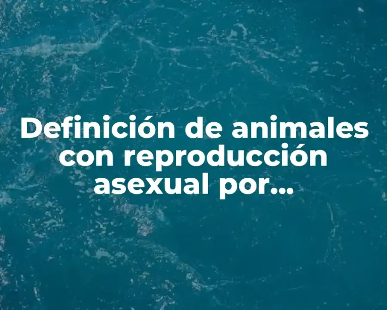 Definición de animales con reproducción asexual por fragmentación