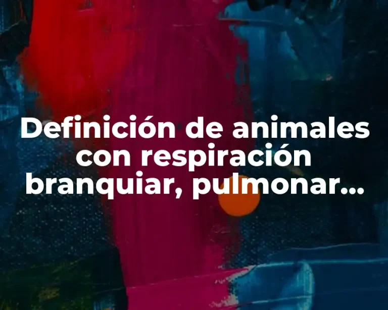 Definición de animales con respiración branquiar, pulmonar, cutánea y traqueal
