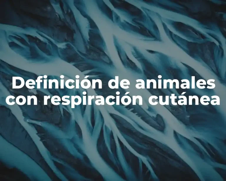 Definición de animales con respiración cutánea