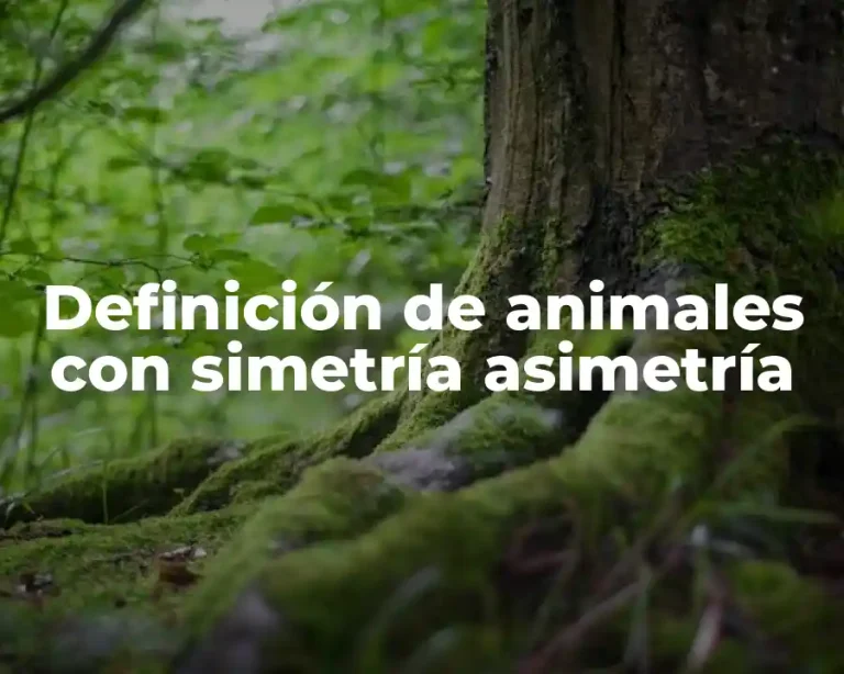 Definición de animales con simetría asimetría