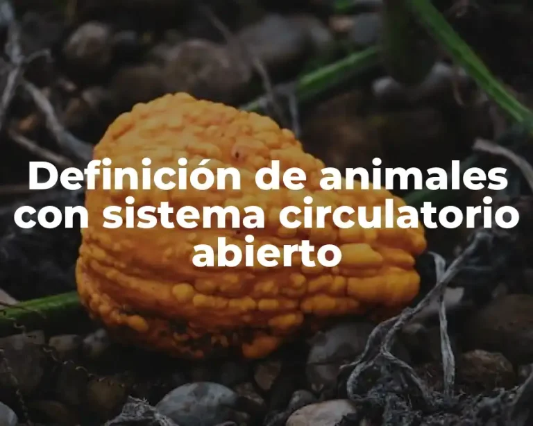 Definición de animales con sistema circulatorio abierto