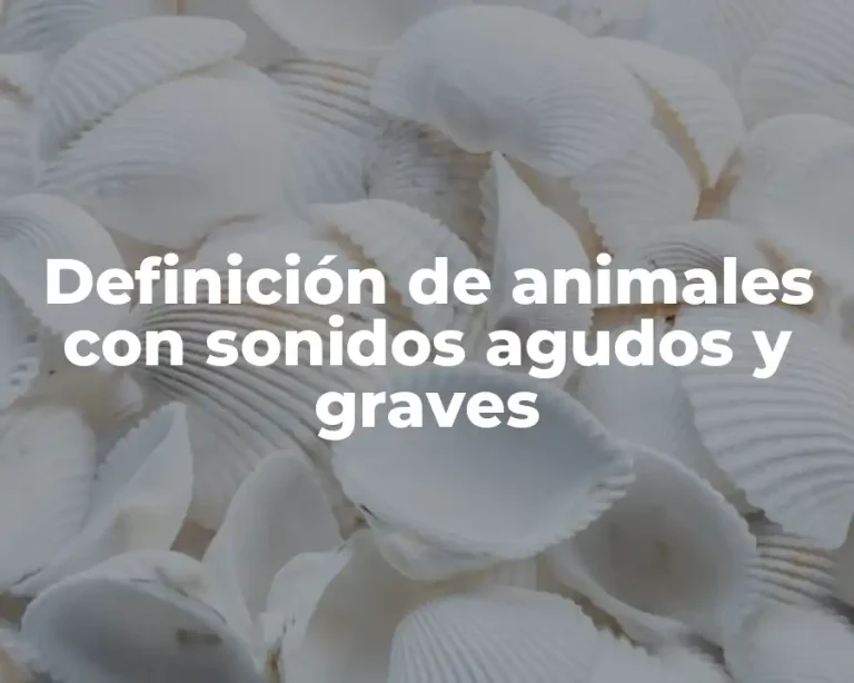 Definición de animales con sonidos agudos y graves