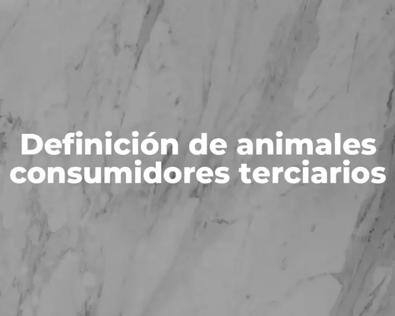 Definición de animales consumidores terciarios
