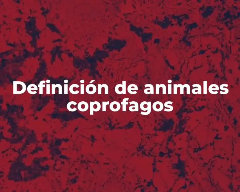Definición de animales coprofagos