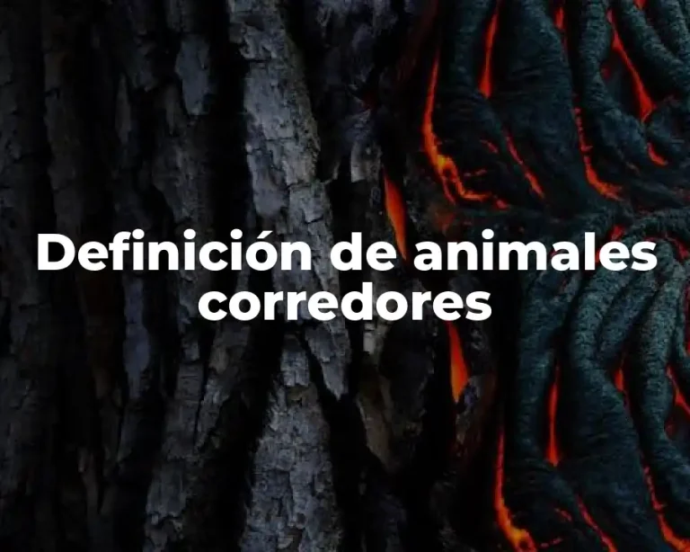 Definición de animales corredores