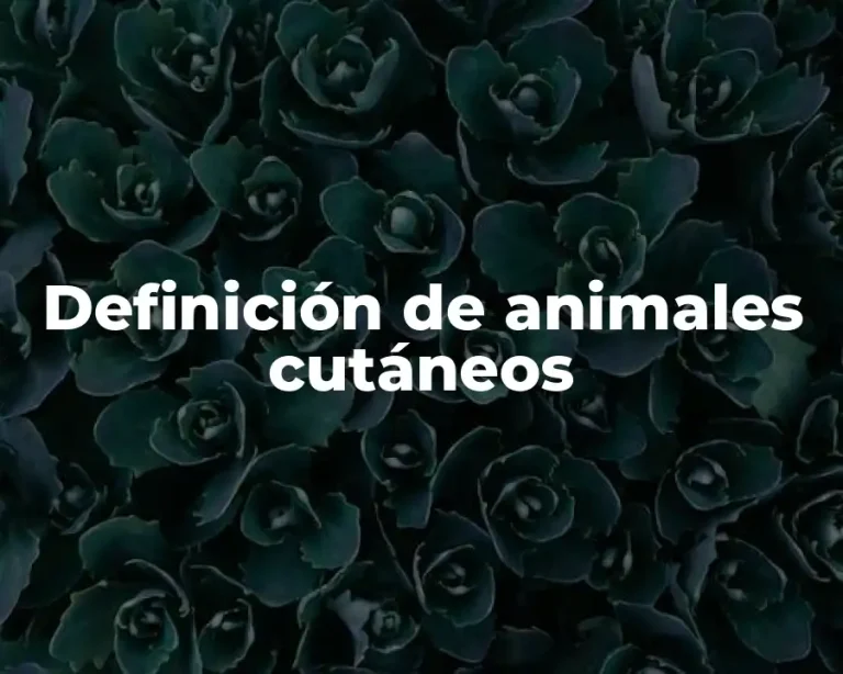 Definición de animales cutáneos