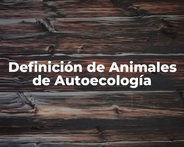 Definición de Animales de Autoecología