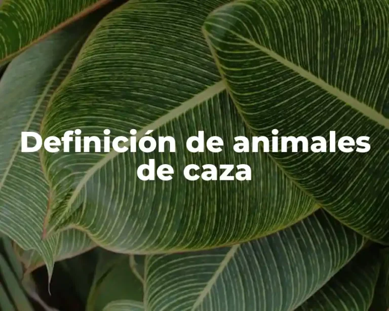Definición de animales de caza