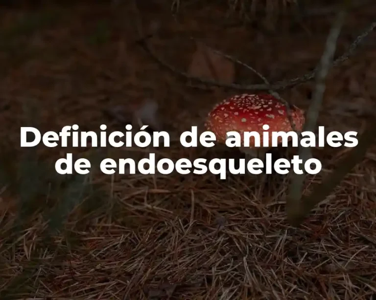 Definición de animales de endoesqueleto