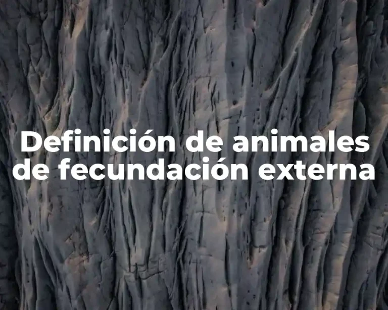 Definición de animales de fecundación externa