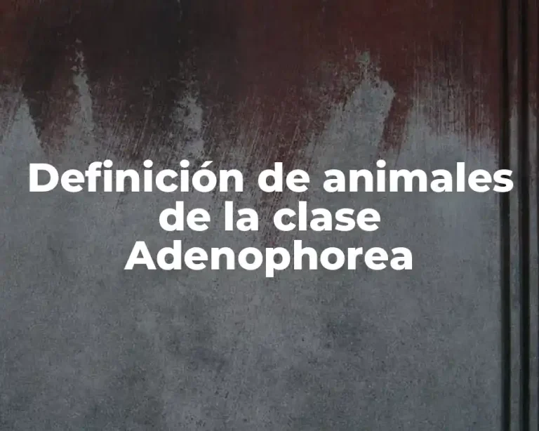 Definición de animales de la clase Adenophorea