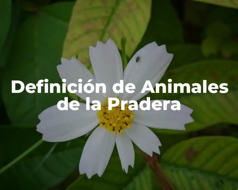 Definición de Animales de la Pradera