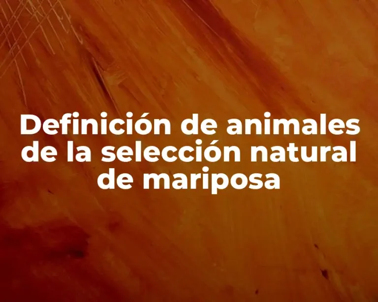 Definición de animales de la selección natural de mariposa