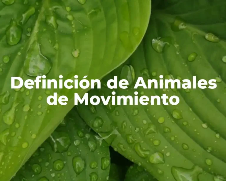 Definición de Animales de Movimiento