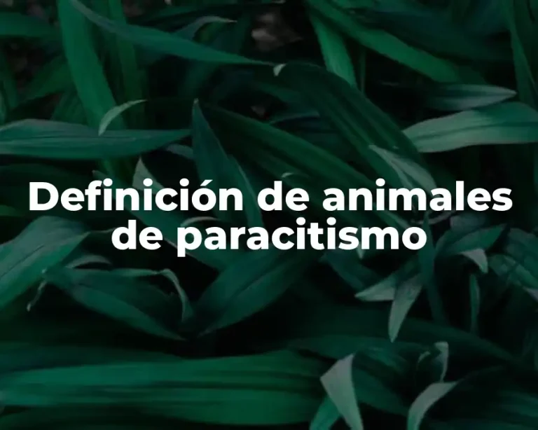 Definición de animales de paracitismo