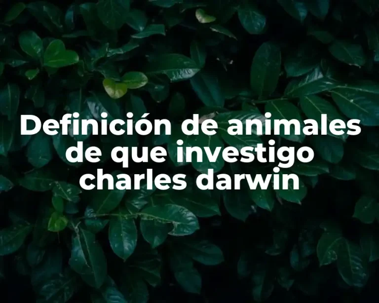 Definición de animales de que investigo charles darwin