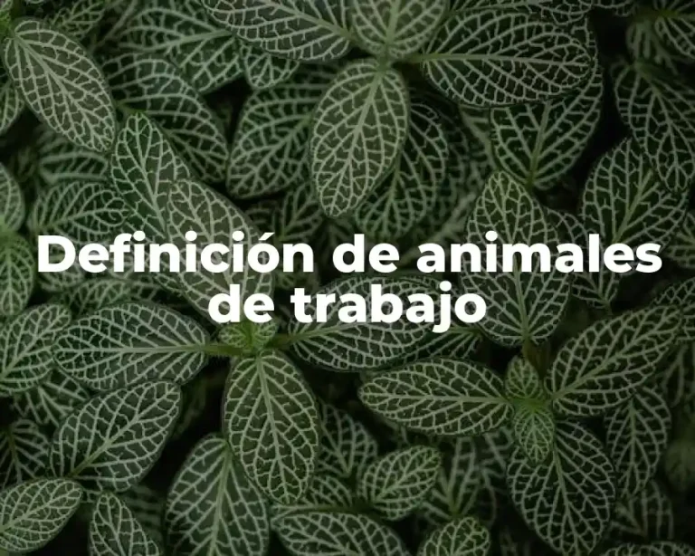 Definición de animales de trabajo