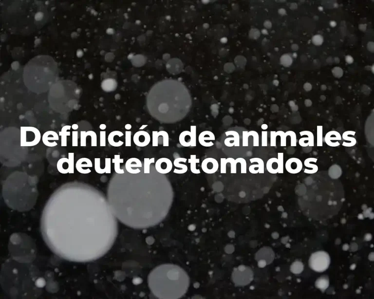 Definición de animales deuterostomados
