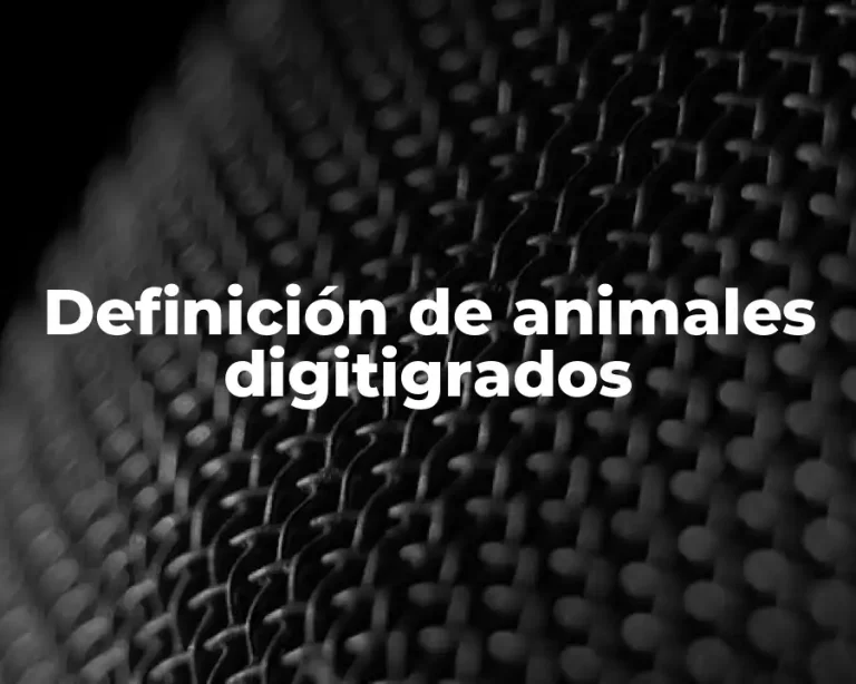 Definición de animales digitigrados