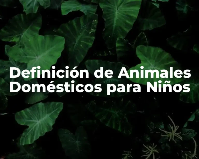 Definición de Animales Domésticos para Niños